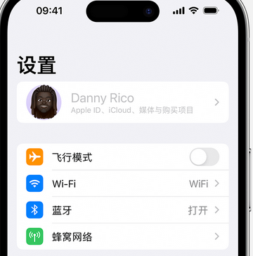 南通appleID维修服务iPhone设置中Apple ID显示为灰色无法使用 