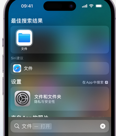 南通apple维修中心分享iPhone文件应用中存储和找到下载文件 