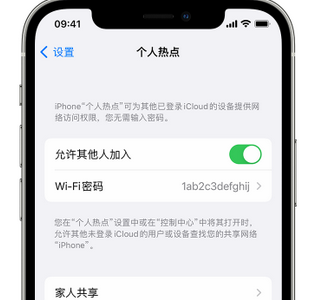 南通apple服务站点分享iPhone上个人热点丢失了怎么办 