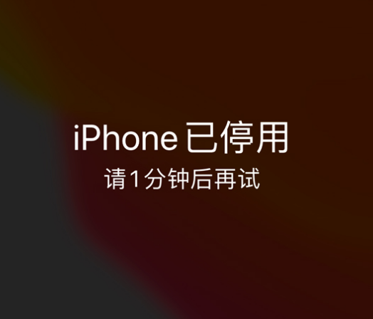 南通苹果手机维修分享:iPhone 显示“不可用”或“已停用”怎么办？还能保留数据吗？ 