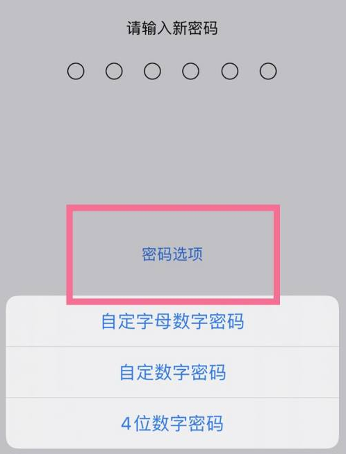 南通苹果14维修分享iPhone 14plus设置密码的方法 