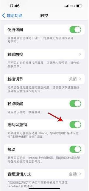 南通苹果手机维修分享iPhone手机如何设置摇一摇删除文字 