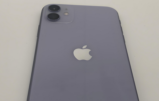 南通苹果11系统维修分享iPhone11手机系统崩溃无法开机如何解决 